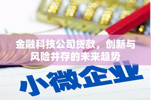 霍城金融科技公司贷款，创新与风险并存的未来趋势