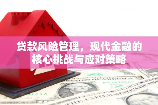霍城贷款风险管理，现代金融的核心挑战与应对策略