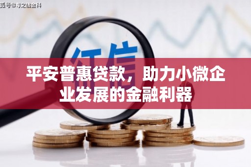 霍城平安普惠贷款，助力小微企业发展的金融利器