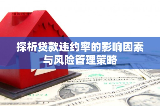 霍城探析贷款违约率的影响因素与风险管理策略