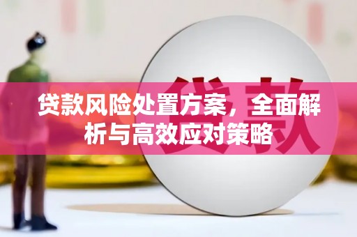 霍城贷款风险处置方案，全面解析与高效应对策略