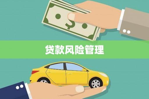 霍城贷款风险管理
