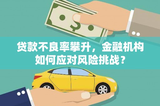 霍城贷款不良率攀升，金融机构如何应对风险挑战？