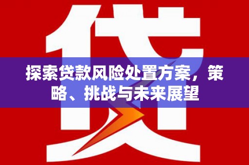 霍城探索贷款风险处置方案，策略、挑战与未来展望