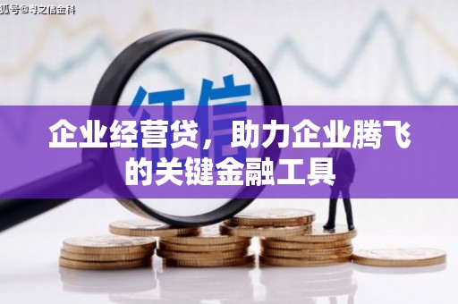 霍城企业经营贷，助力企业腾飞的关键金融工具