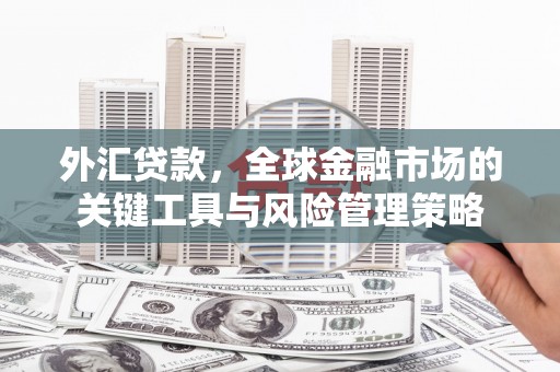 霍城外汇贷款，全球金融市场的关键工具与风险管理策略
