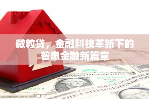 霍城微粒贷，金融科技革新下的普惠金融新篇章