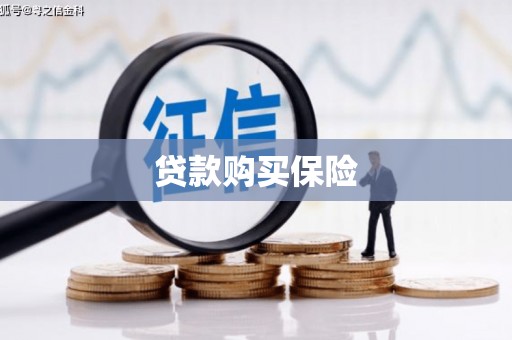 霍城贷款购买保险