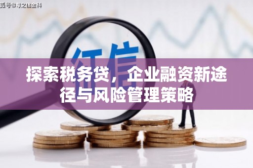 霍城探索税务贷，企业融资新途径与风险管理策略