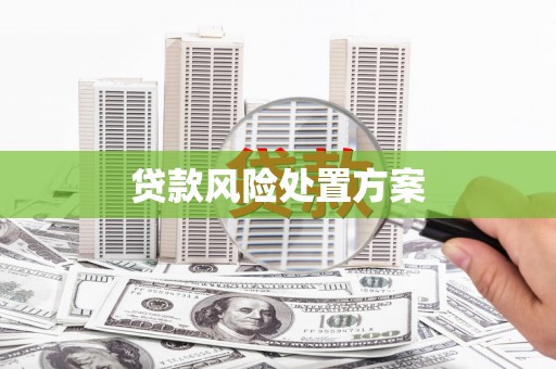 霍城贷款风险处置方案