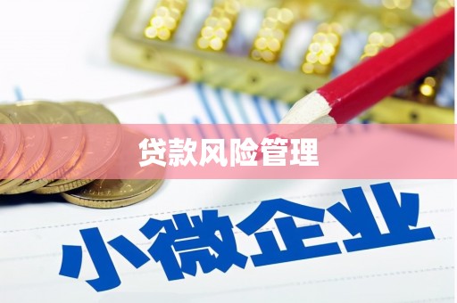 霍城贷款风险管理