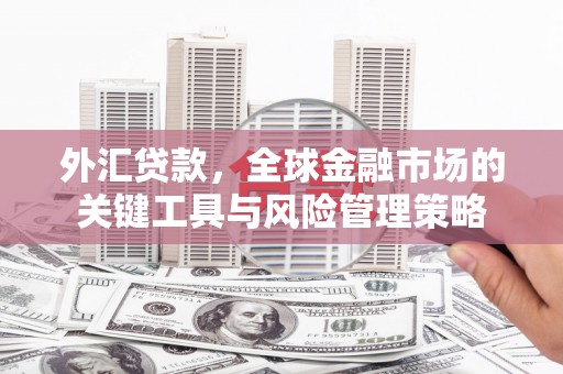 霍城外汇贷款，全球金融市场的关键工具与风险管理策略