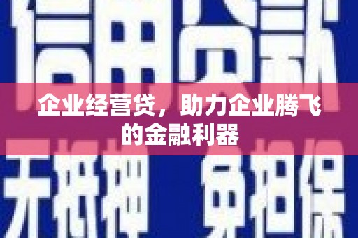 霍城企业经营贷，助力企业腾飞的金融利器