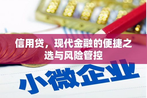 霍城信用贷，现代金融的便捷之选与风险管控