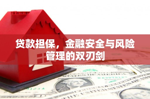 霍城贷款担保，金融安全与风险管理的双刃剑