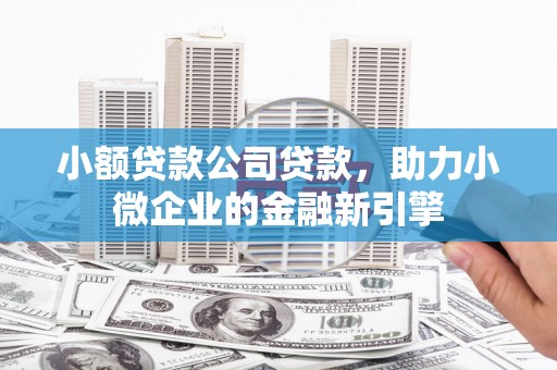 霍城小额贷款公司贷款，助力小微企业的金融新引擎