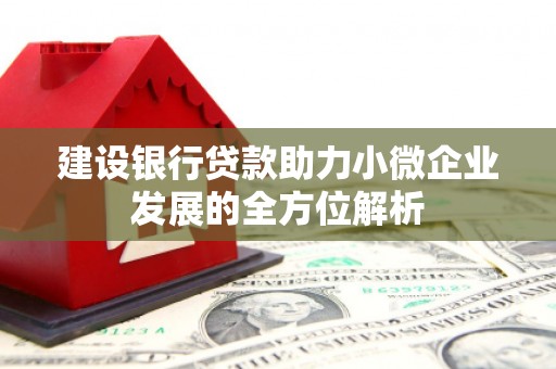 霍城建设银行贷款助力小微企业发展的全方位解析