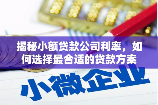 霍城揭秘小额贷款公司利率，如何选择最合适的贷款方案
