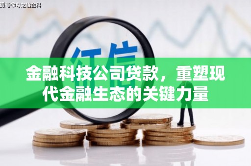 霍城金融科技公司贷款，重塑现代金融生态的关键力量