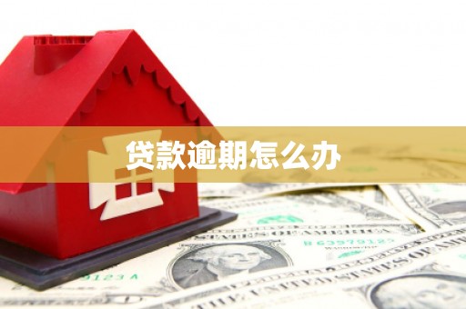霍城贷款逾期怎么办