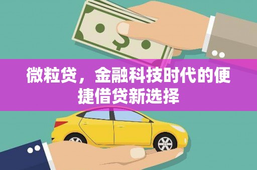 霍城微粒贷，金融科技时代的便捷借贷新选择