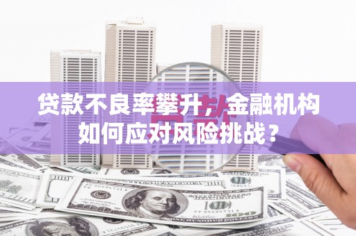 霍城贷款不良率攀升，金融机构如何应对风险挑战？