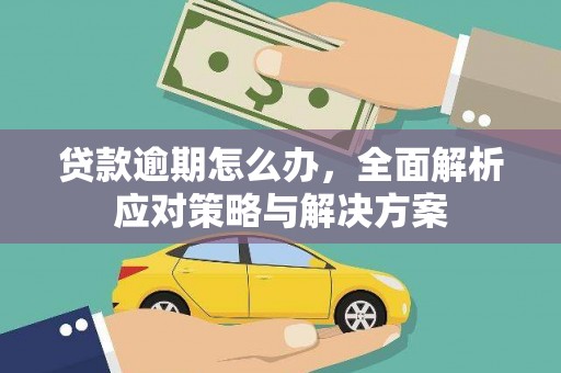霍城贷款逾期怎么办，全面解析应对策略与解决方案