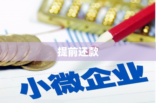 霍城提前还款